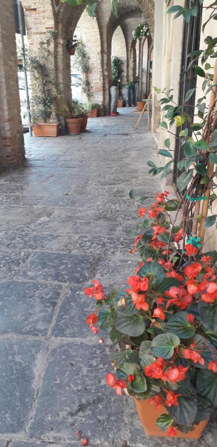 Bed and Breakfast Nenet Guglionesi Zewnętrze zdjęcie