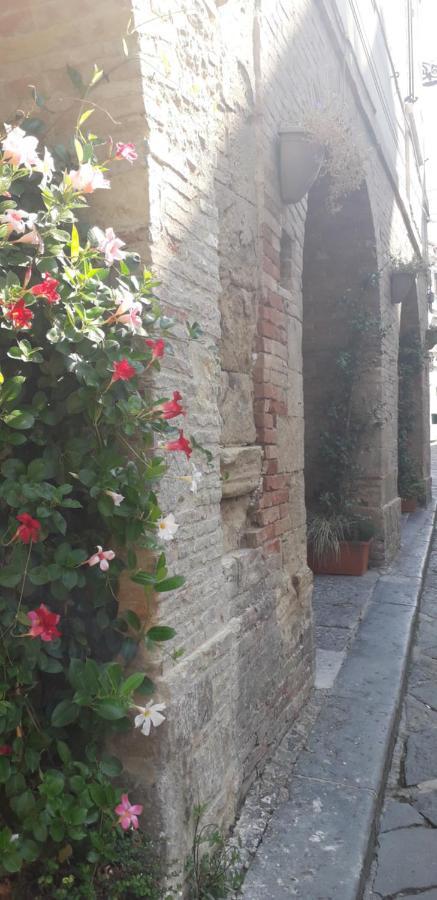 Bed and Breakfast Nenet Guglionesi Zewnętrze zdjęcie
